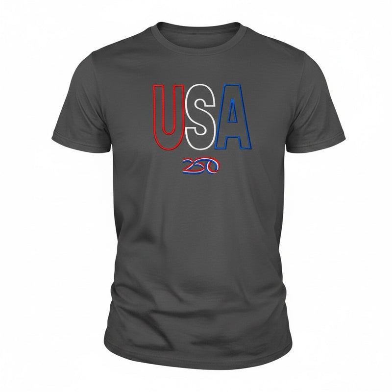 Captain Hawk Designs grey crewneck t-shirt featuring an embroidered USA 250 graphic in red, white, and blue.